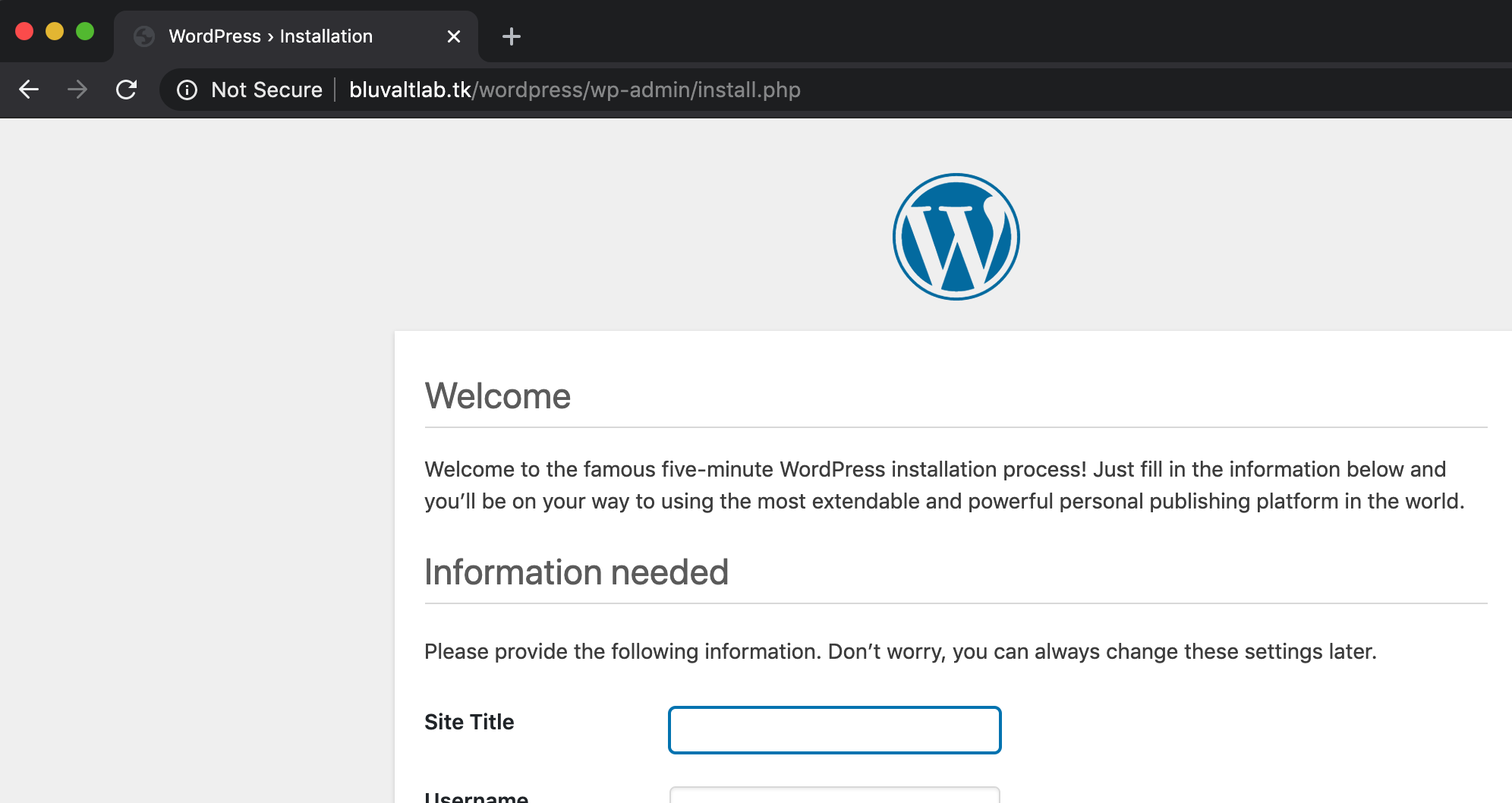 access to WordPress